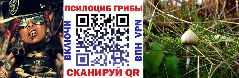 Псилоцибиновые грибы Magic Shrooms  Безенчук 
